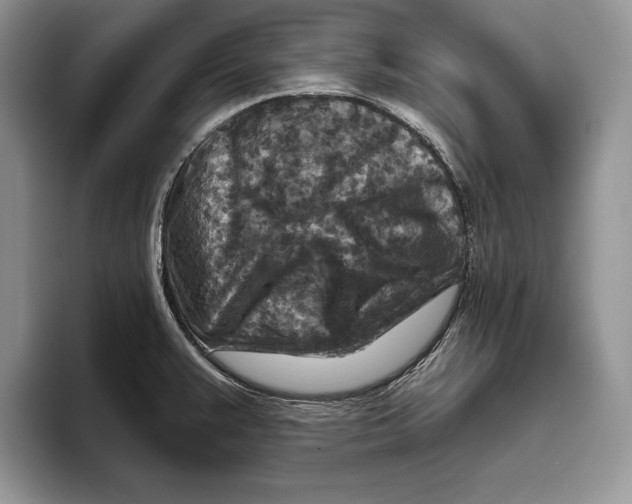 X0000093471383200711091600