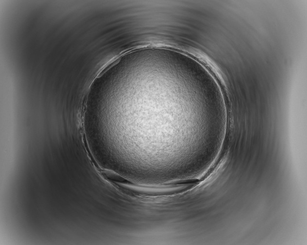 X0000093471385200711091600