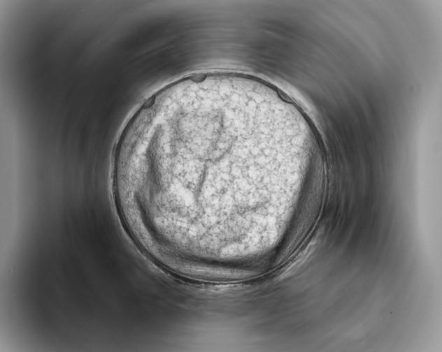 X0000093471390200711091600