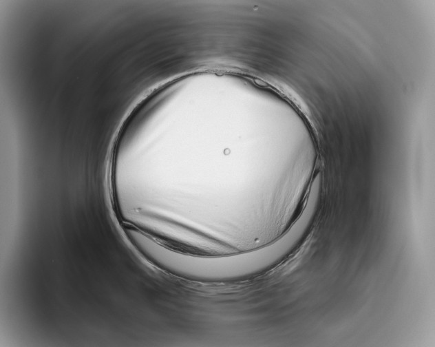 X0000093471391200711091600