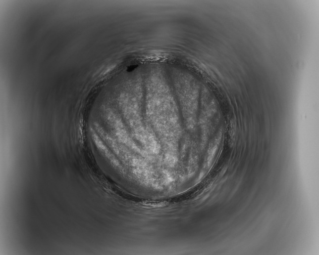 X0000093471394200711091559