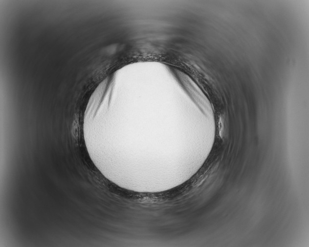 X0000093471395200711091559