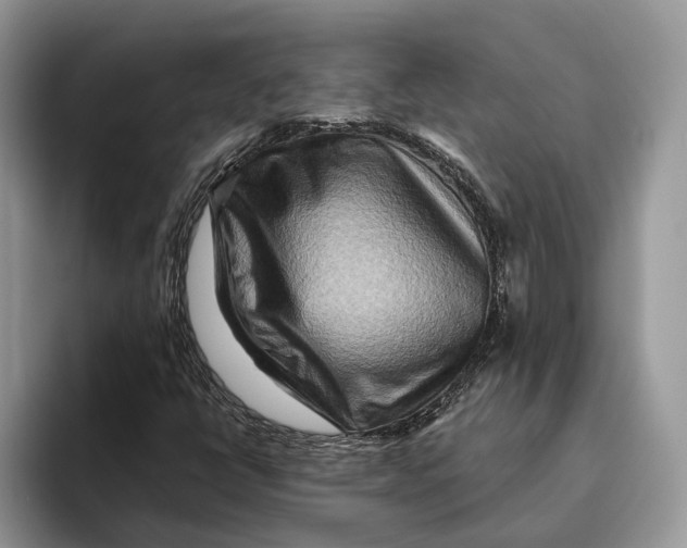 X0000093471398200711091559