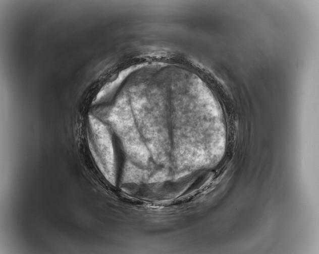 X0000093471399200711091559