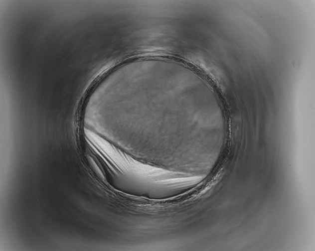 X0000093471405200711091559