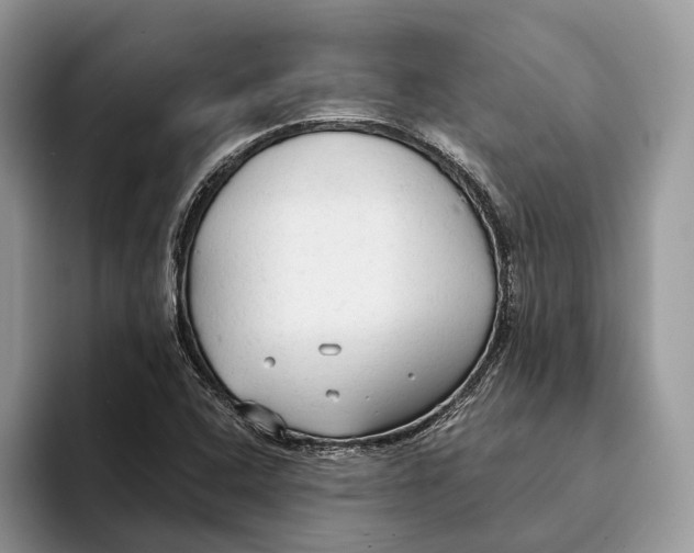 X0000093471408200711091559