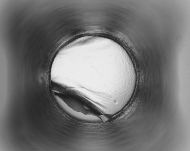 X0000093471409200711091559