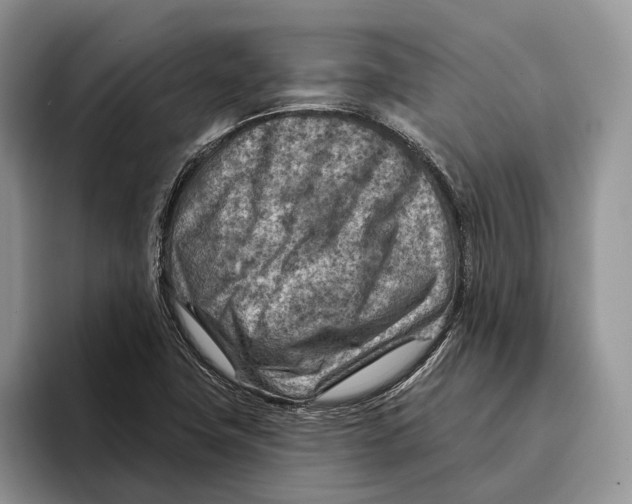 X0000093471411200711091559