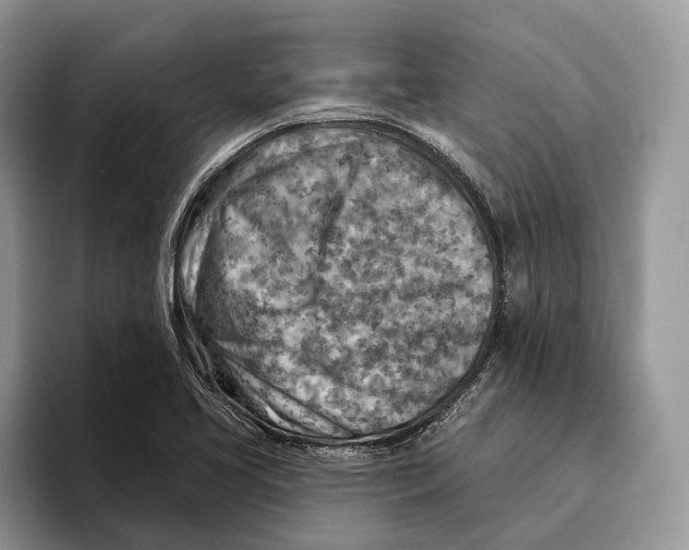 X0000093471413200711091559