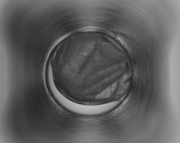 X0000093471418200711091559