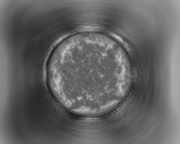 X0000093471419200711091559