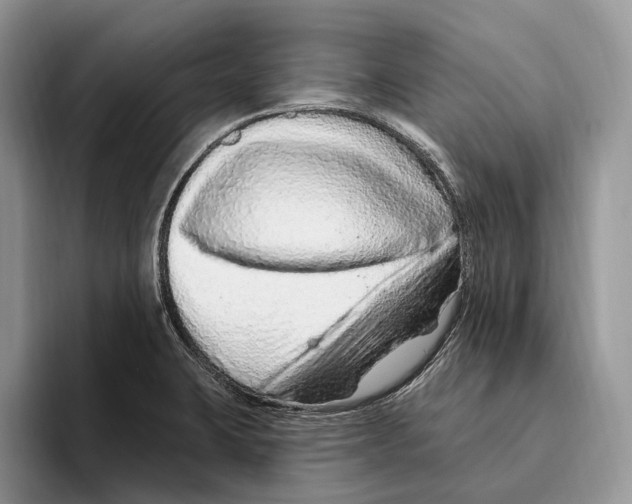 X0000093471423200711091559