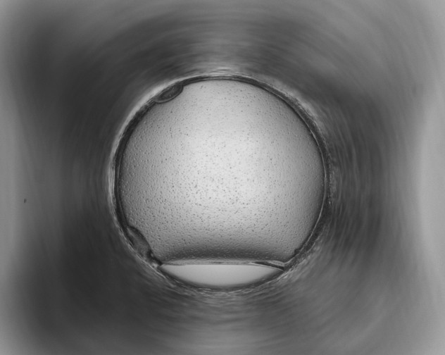 X0000093471424200711091559