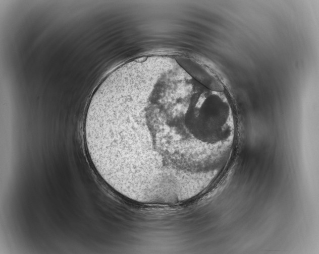 X0000093471425200711091559