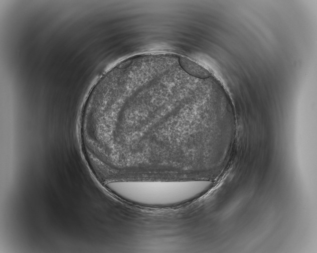 X0000093471429200711091559