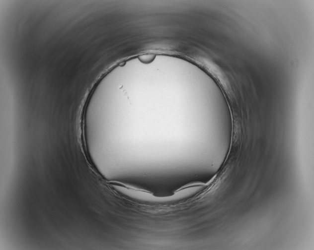 X0000093471435200711091559