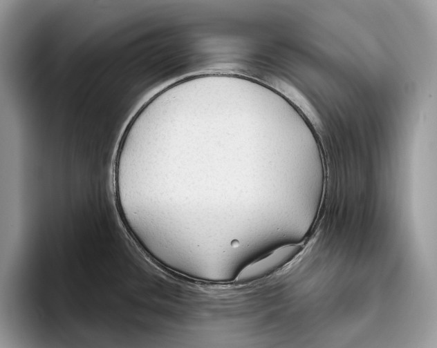 X0000093471436200711091559