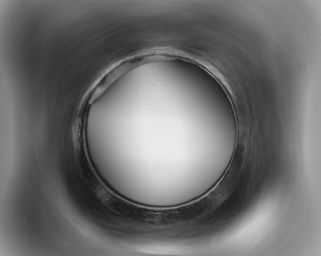 X0000093471438200711091559