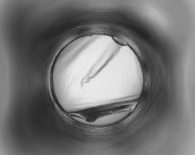 X0000093471439200711091559