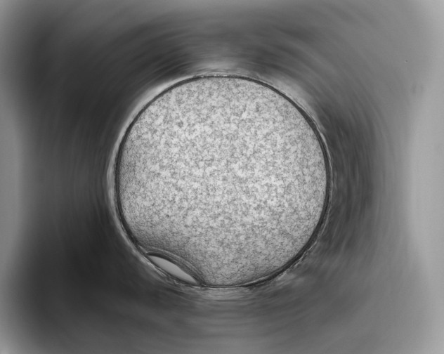 X0000093471440200711091559