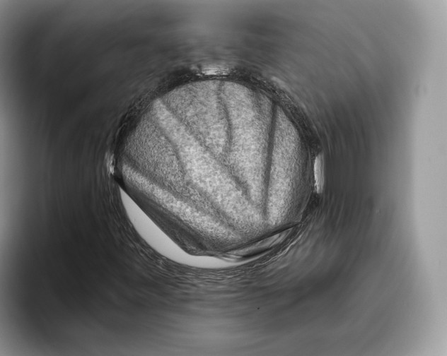 X0000093471443200711091559