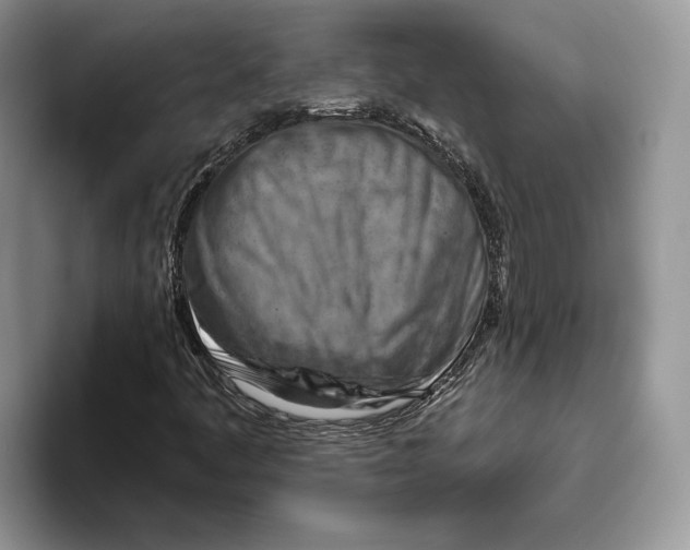 X0000093471445200711091559