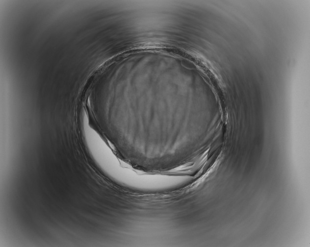 X0000093471449200711091559