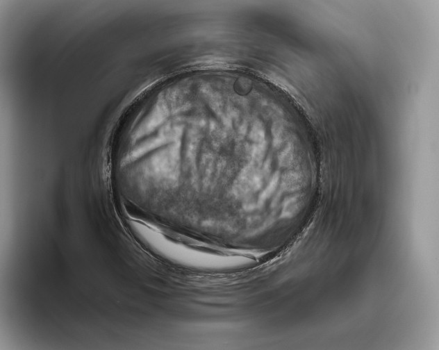 X0000093471450200711091559