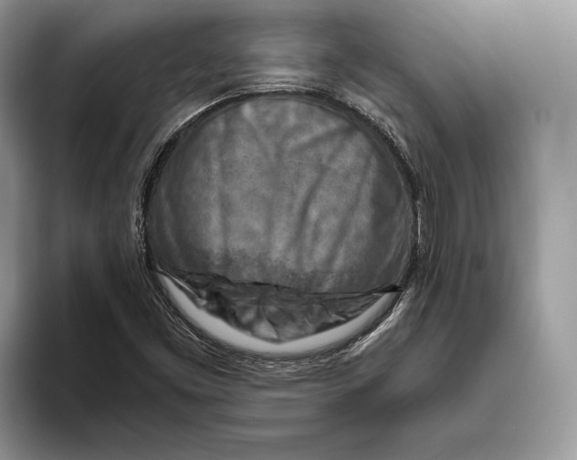 X0000093471453200711091559