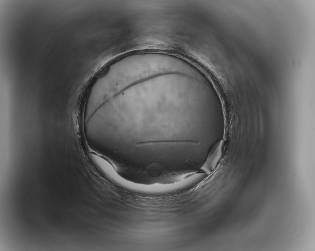 X0000093471455200711091559