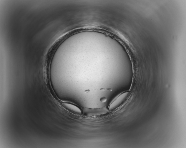 X0000093471456200711091559