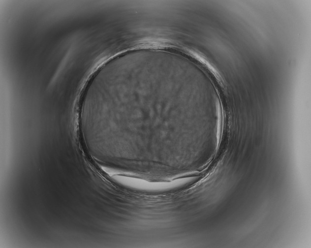 X0000093471459200711091559