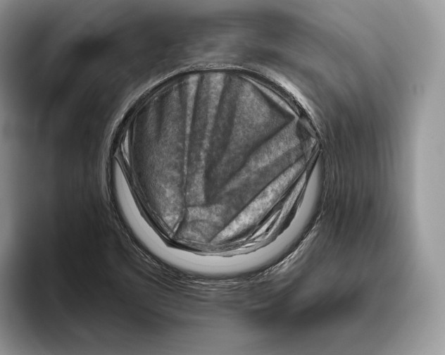 X0000093471461200711091559