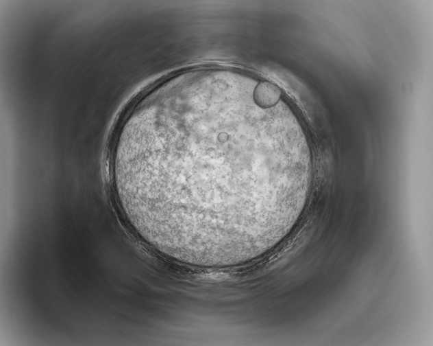 X0000093471462200711091559