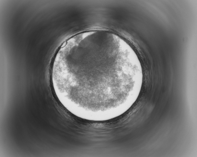 X0000093471463200711091558