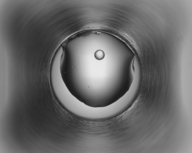 X0000093471465200711091558