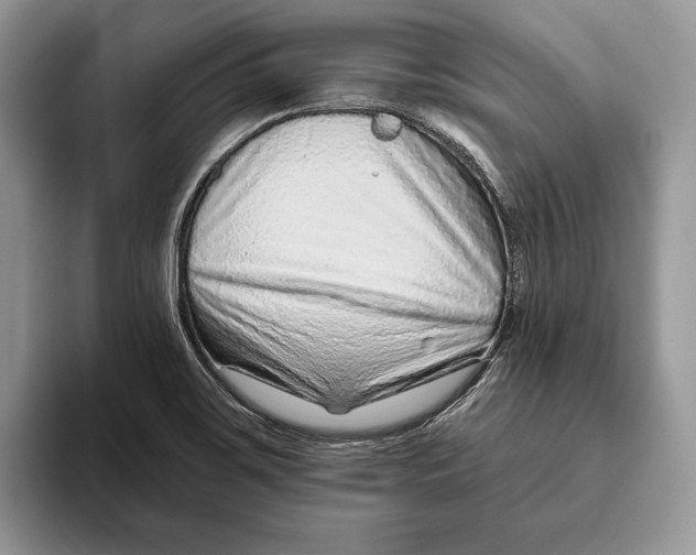 X0000093471467200711091558