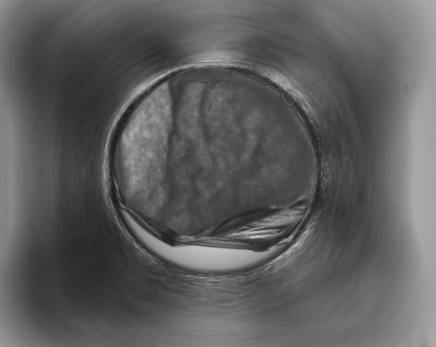 X0000093471469200711091558