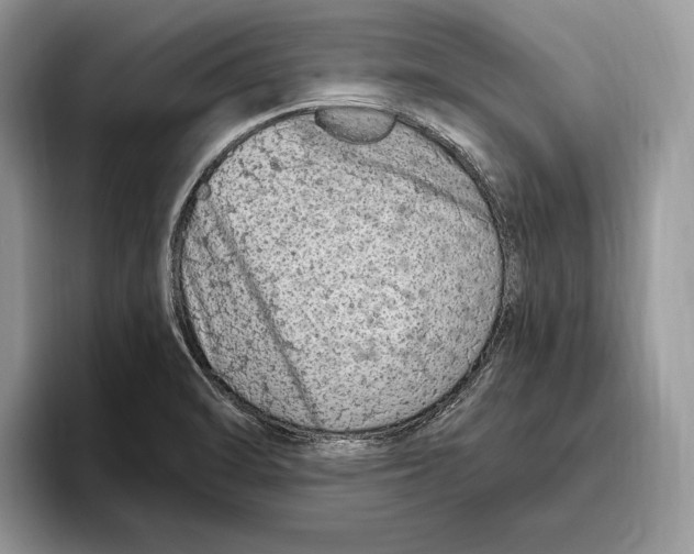 X0000093471470200711091558