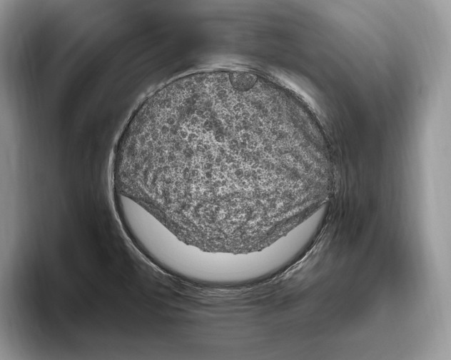 X0000093471471200711091558