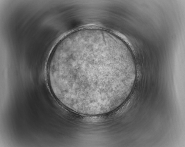 X0000093471474200711091558