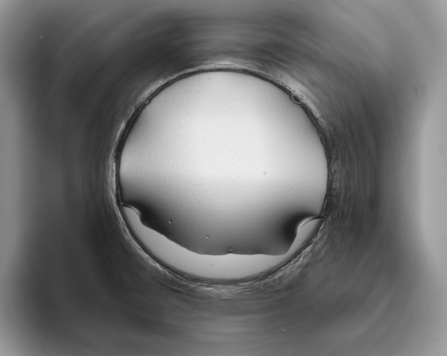 X0000093471476200711091558