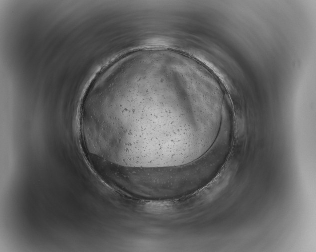 X0000093471477200711091558