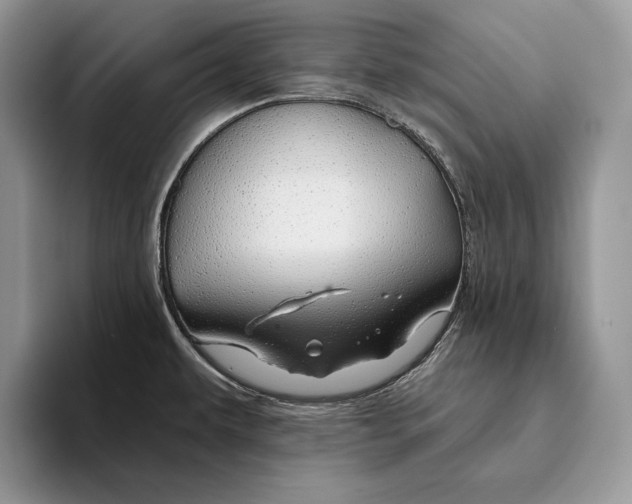 X0000093471479200711091558