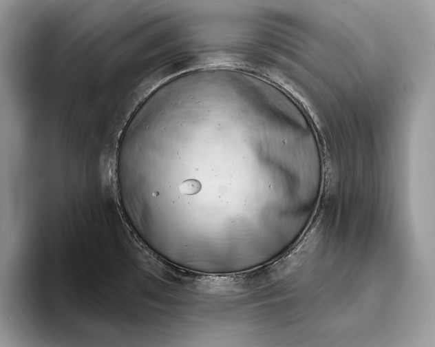 X0000093471481200711091558