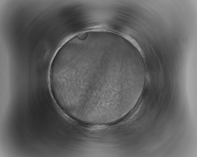 X0000093471482200711091558