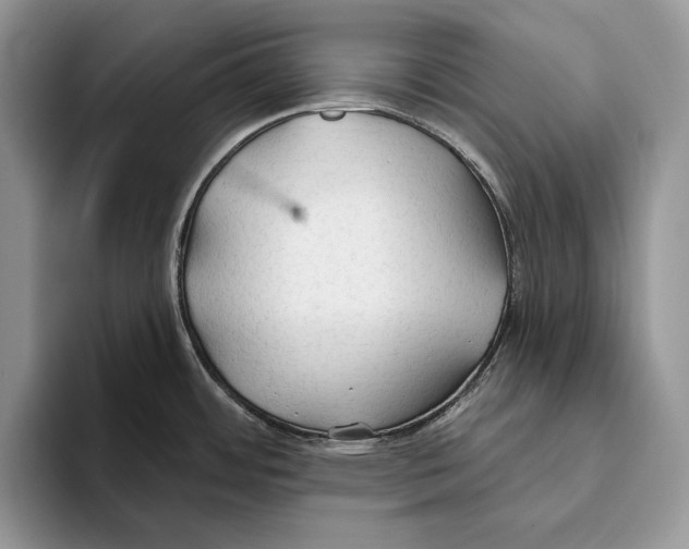 X0000093471484200711091558