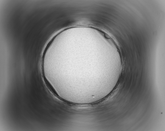 X0000093471486200711091558