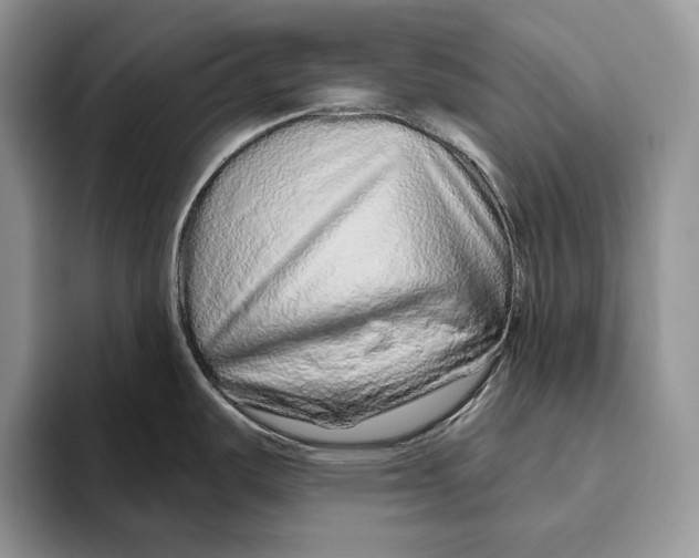 X0000093471487200711091558