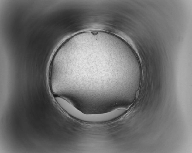 X0000093471488200711091558